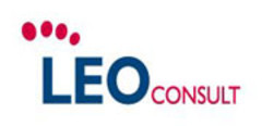 LEO Consult LEO Consult